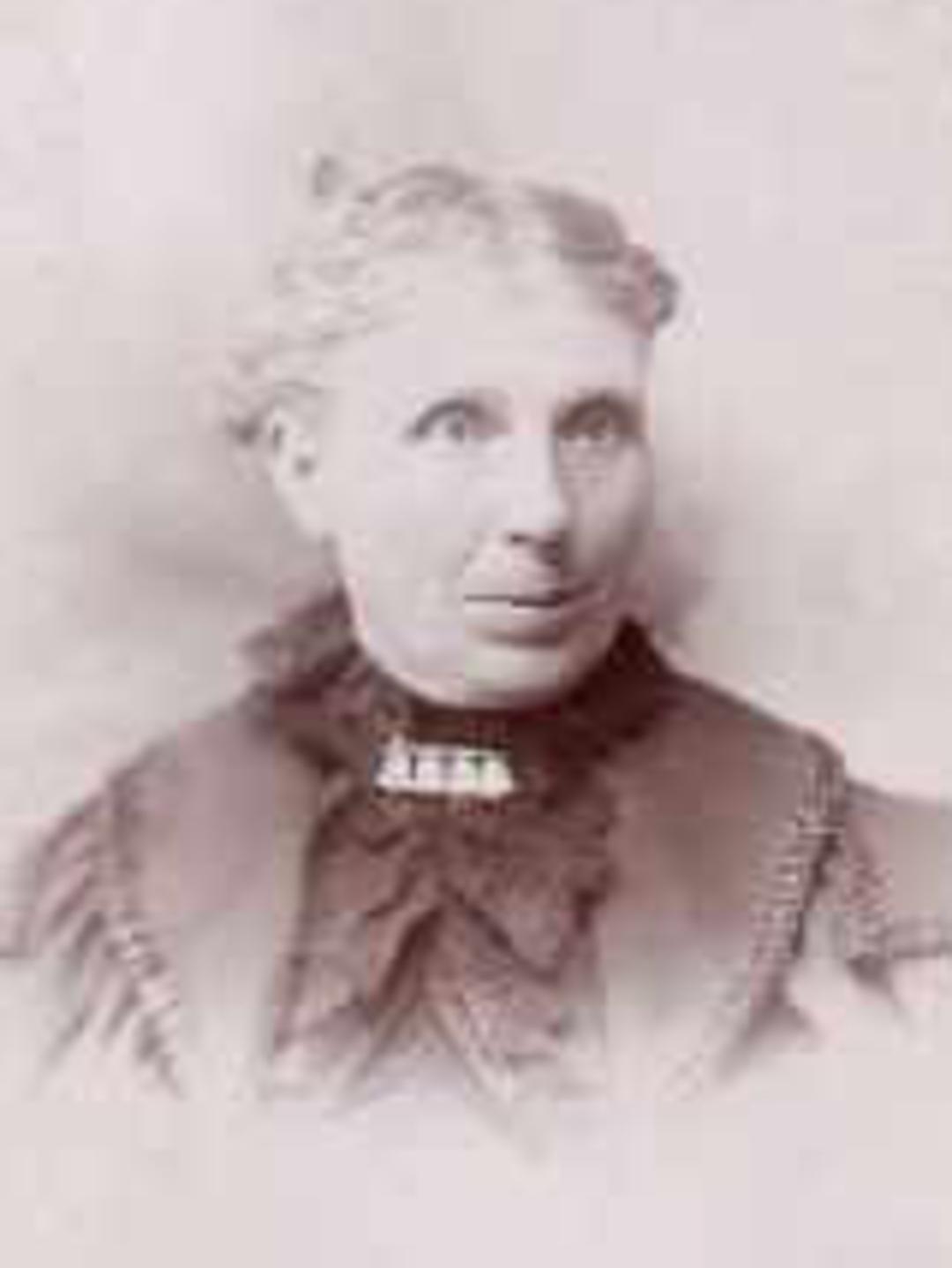 Allison Watson Simpson (1842 - 1931) Profile